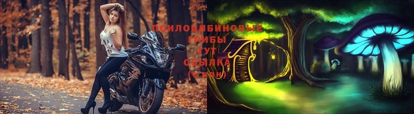 трава Богданович